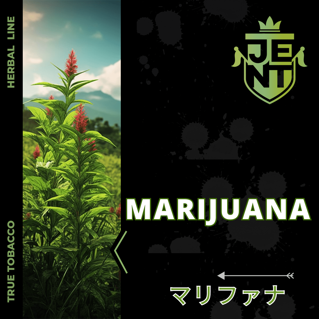 MARIJUANA(マリファナ) - 日本最大級のシーシャ・水タバコの通販サイト| ブクブクSHOP
