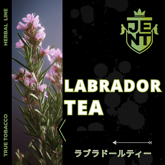 LABRADOR TEA - 日本最大級のシーシャ・水タバコの通販サイト| ブクブクSHOP