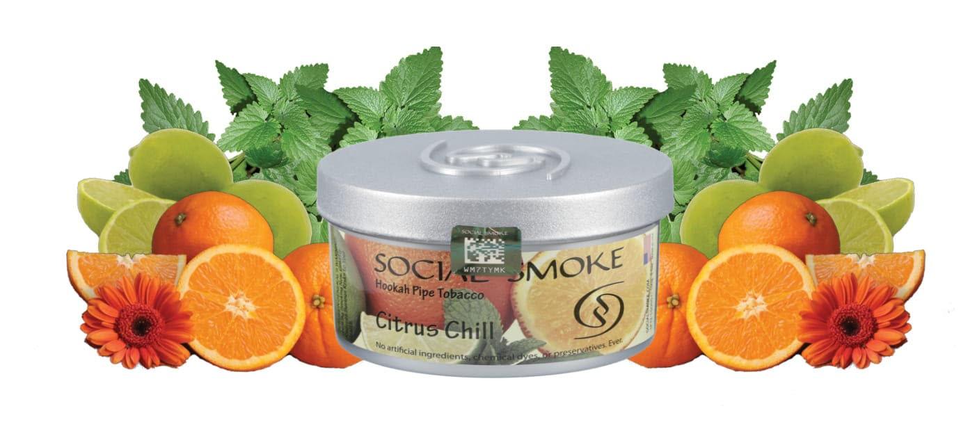 Citrus Chill - 日本最大級のシーシャ・水タバコの通販サイト| ブクブクSHOP