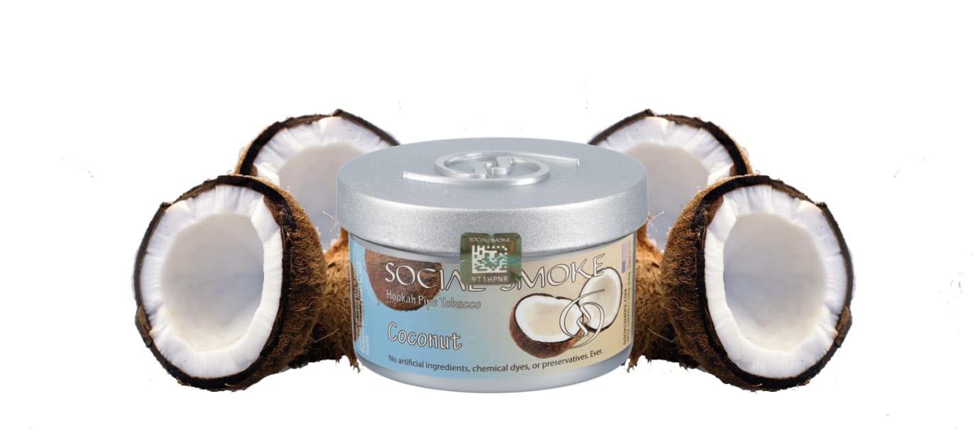 Coconut - 日本最大級のシーシャ・水タバコの通販サイト| ブクブクSHOP