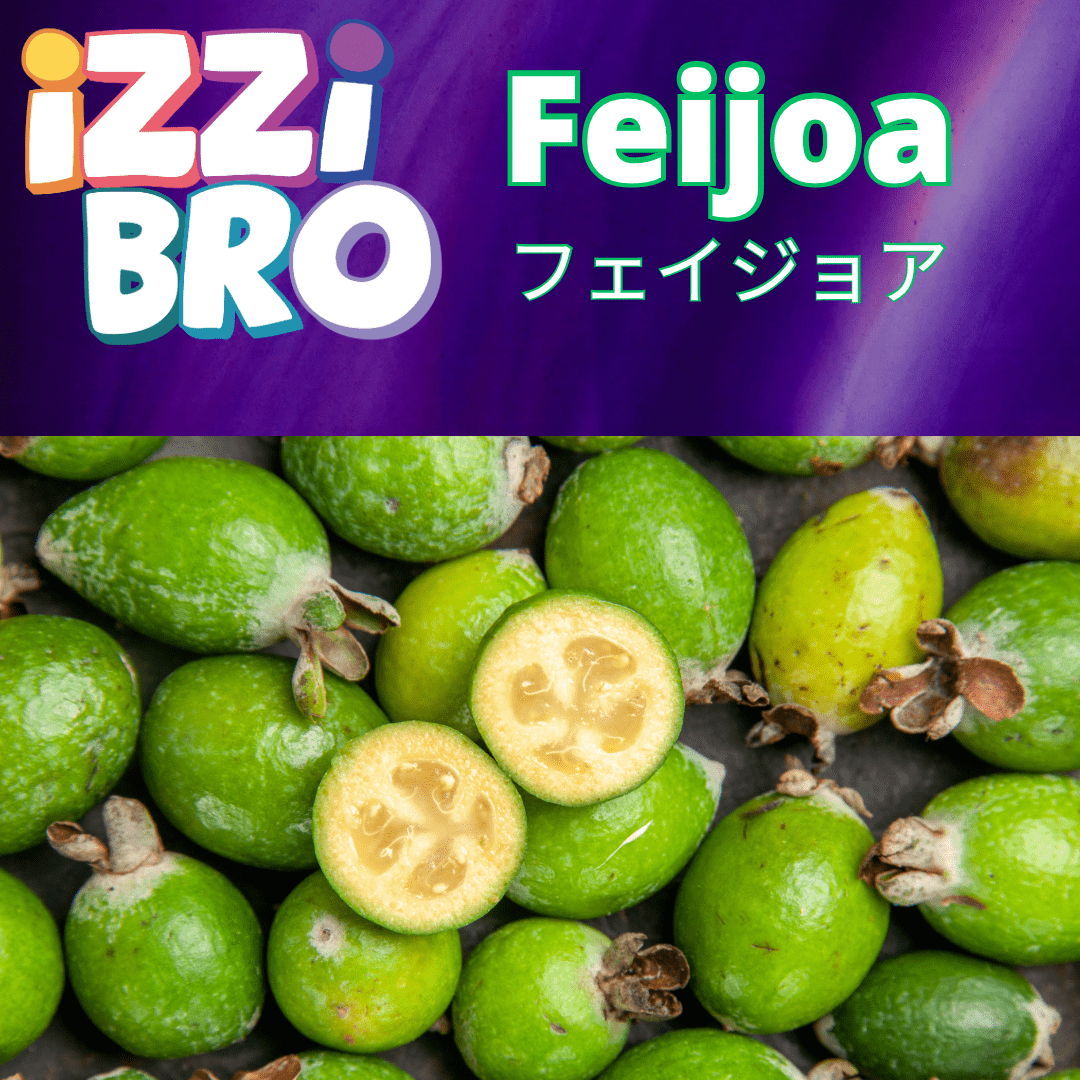 Feijoa(フェイジョア) - 日本最大級のシーシャ・水タバコの通販サイト| ブクブクSHOP